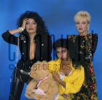 13-09-1984 Appolonia Six at studio in Amsterdam, The Netherlands. September 13, 1984.

[keywords]Posed, Half Length, Teddybear[/keywords]